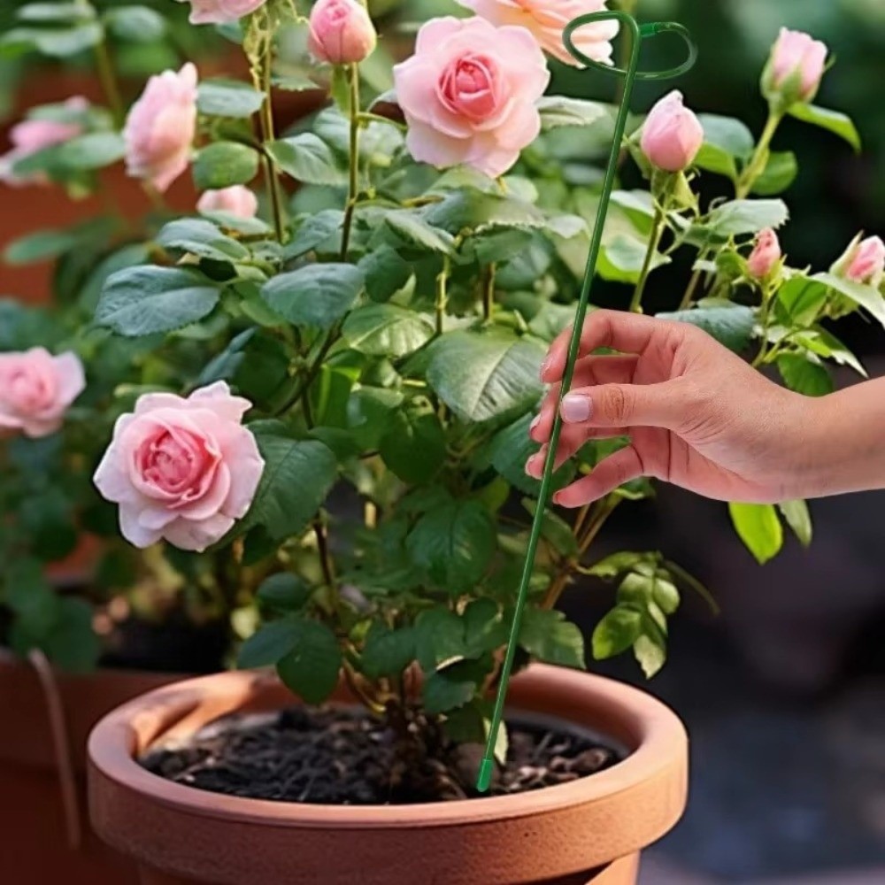 Gardening Tools For Beginners - โครงเหล็กใหม่สำหรับรองรับต้นไม้ ป้องกันการตกหล่น ใช้ซ้ำได้ อุปกรณ์ยึดต้นไม้ในสวน อุปกรณ์ทำสวน