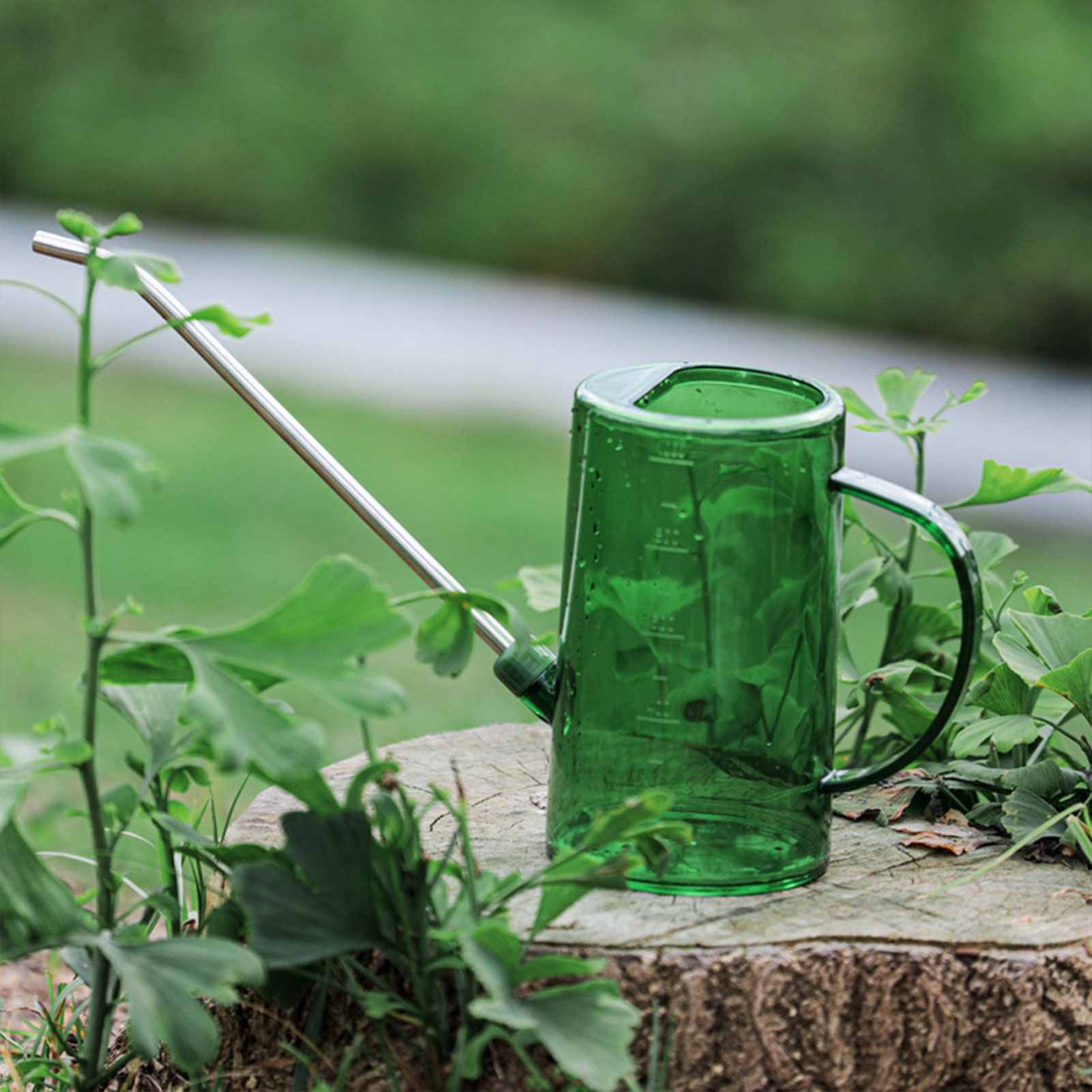 Gardening Tools For Beginners - บัวรดน้ำต้นไม้ในร่ม 1 ลิตร/1.5 ลิตร แบบใส ถอดประกอบได้