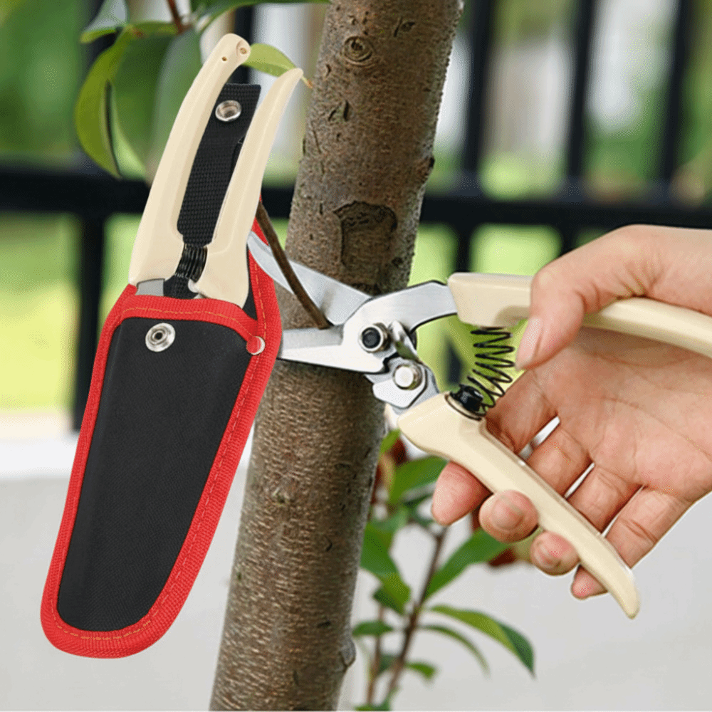 กระเป๋าใส่กรรไกรตัดแต่งกิ่งแบบ - Gardening Tools China บทวิจารณ์และราคา