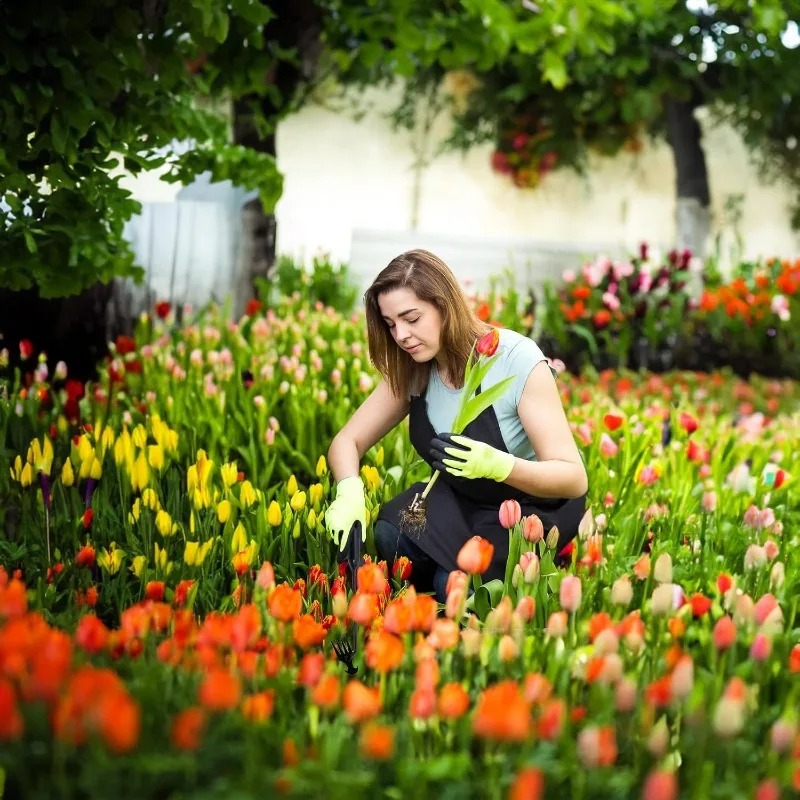 เครื่องมือทำสวน 2-in-1 แบบใช้ม - Gardening Tools Spade บทวิจารณ์และราคา