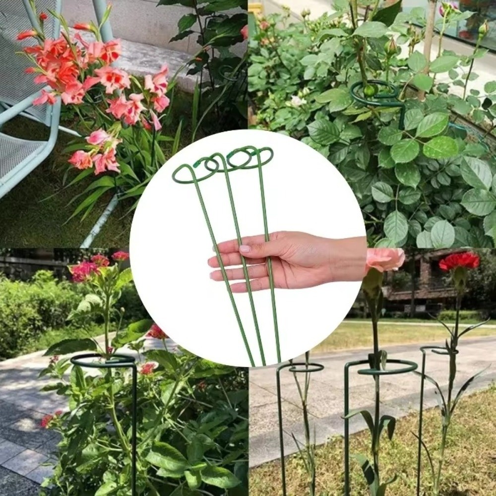 โครงเหล็กใหม่สำหรับรองรับต้นไม - Gardening Tools For Beginners บทวิจารณ์และราคา