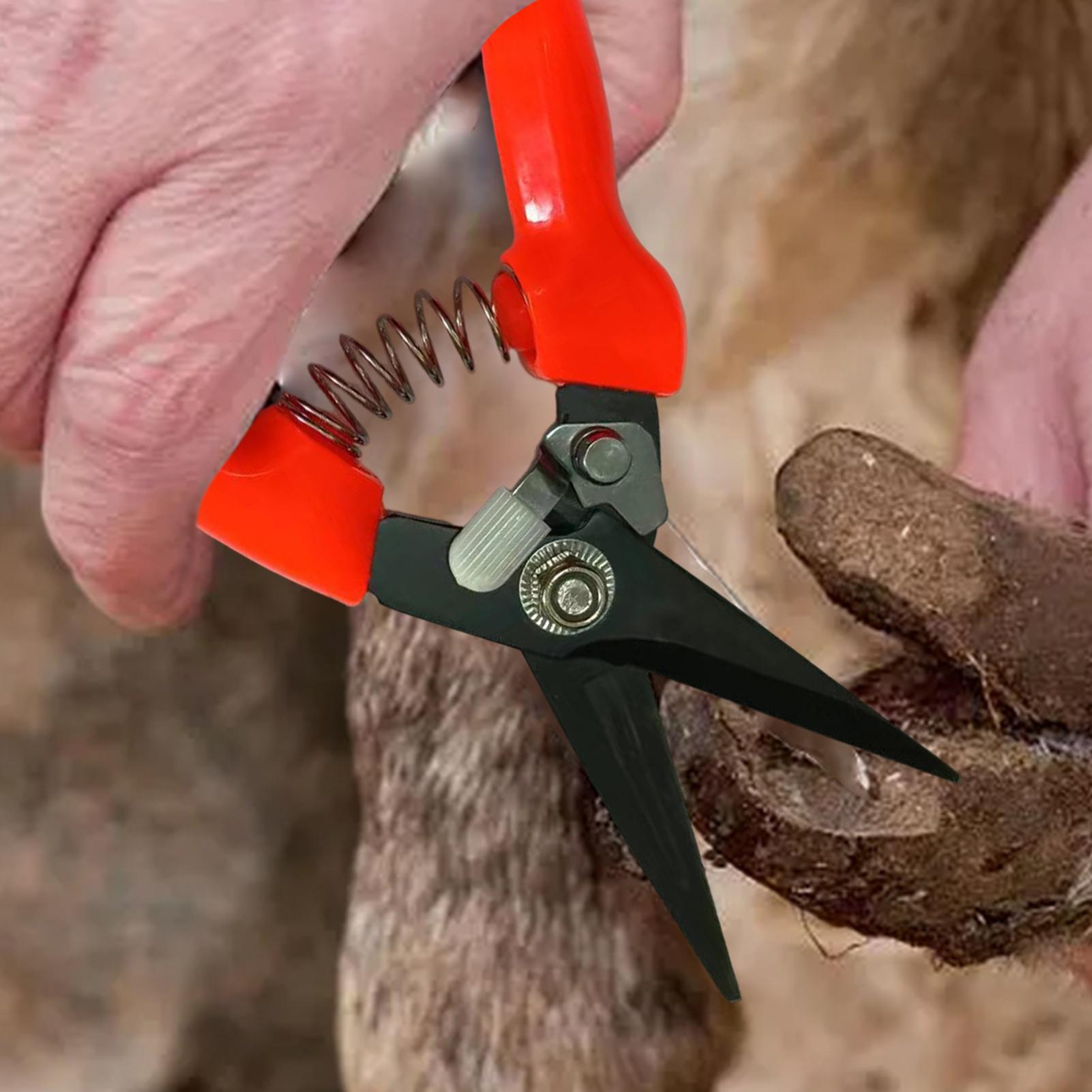 เครื่องตัดกีบแกะ กรรไกรตัดแต่ง - Garden Hand Trowel บทวิจารณ์และราคา