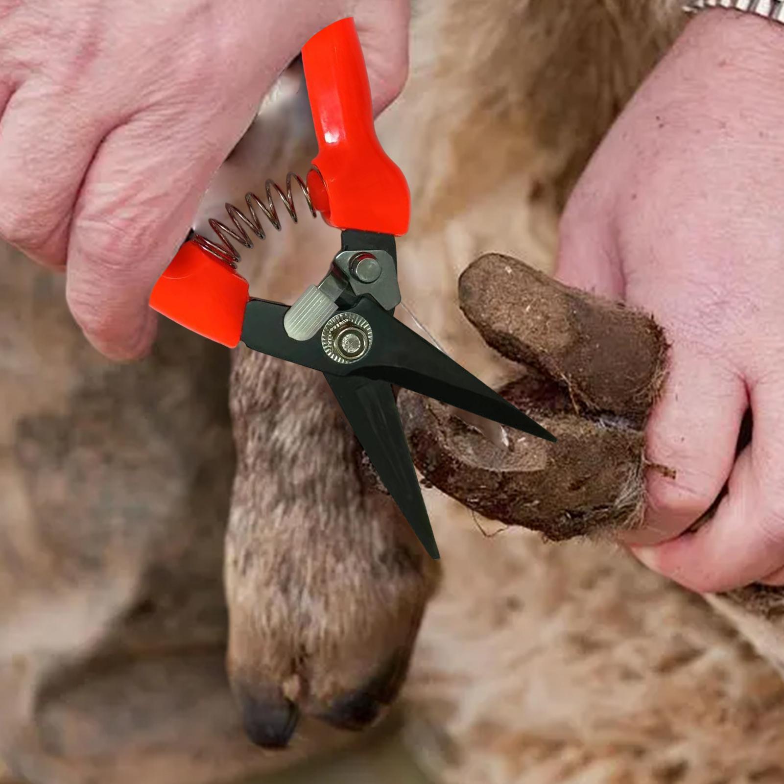 เครื่องตัดกีบแกะ กรรไกรตัดแต่ง - Garden Hand Trowel บทวิจารณ์และราคา
