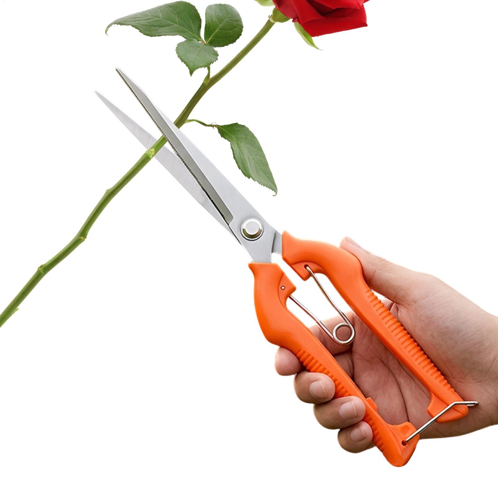 กรรไกรตัดแต่งกิ่ง ตัดองุ่น อุป - Gardening Tools For Beginners บทวิจารณ์และราคา