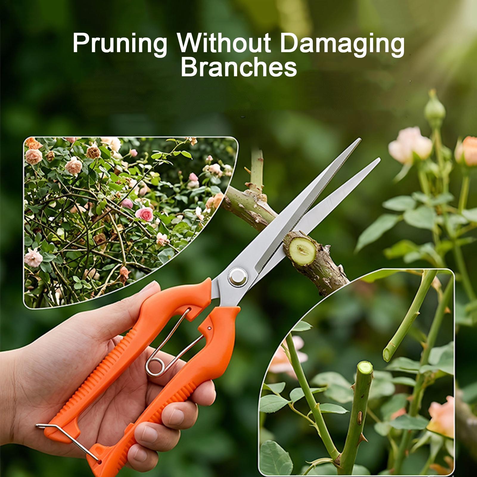 กรรไกรตัดแต่งกิ่ง ตัดองุ่น อุป - Gardening Tools For Beginners บทวิจารณ์และราคา