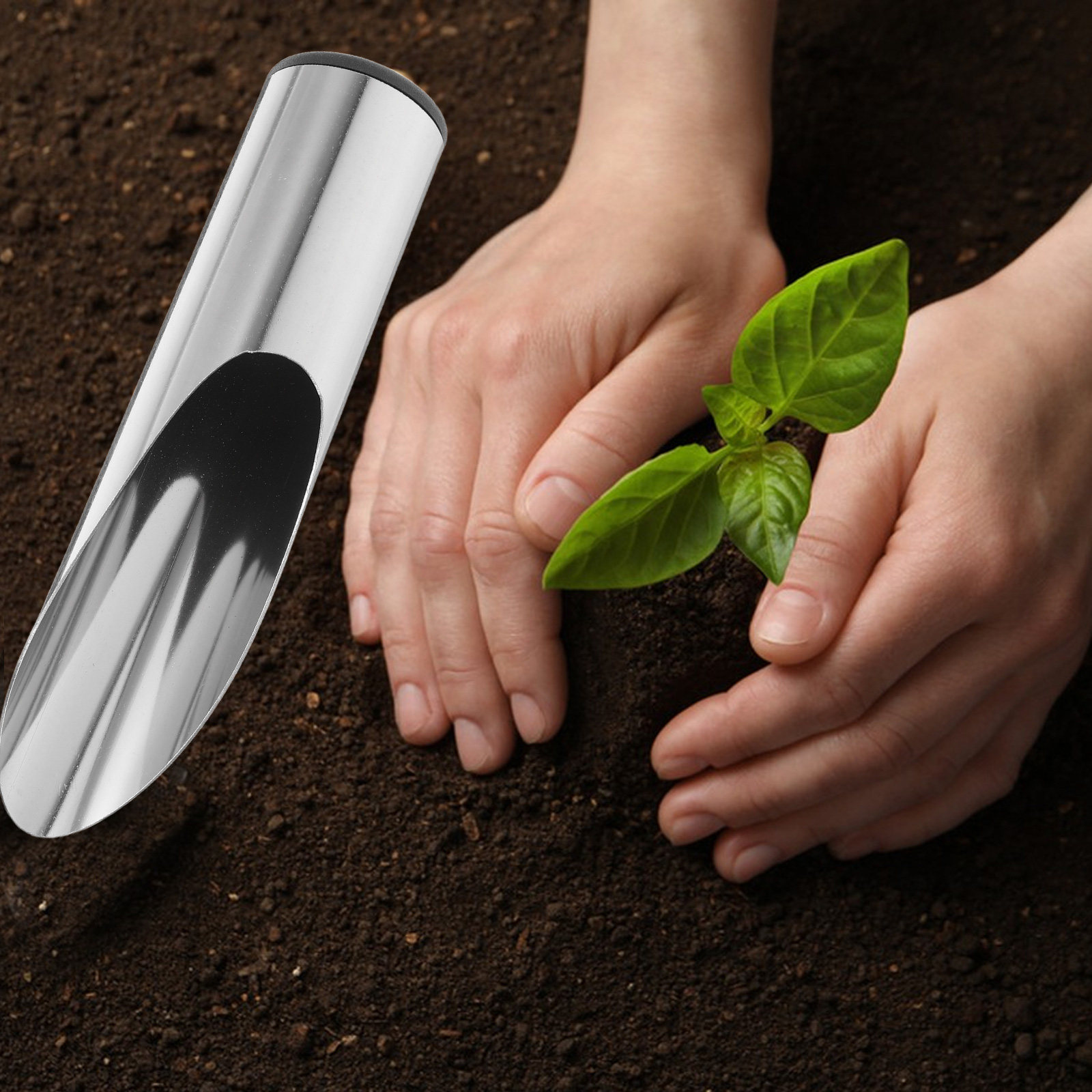 พลั่วสวนสแตนเลสน้ำหนักเบาแบบพก - Gardening Tools Spade บทวิจารณ์และราคา