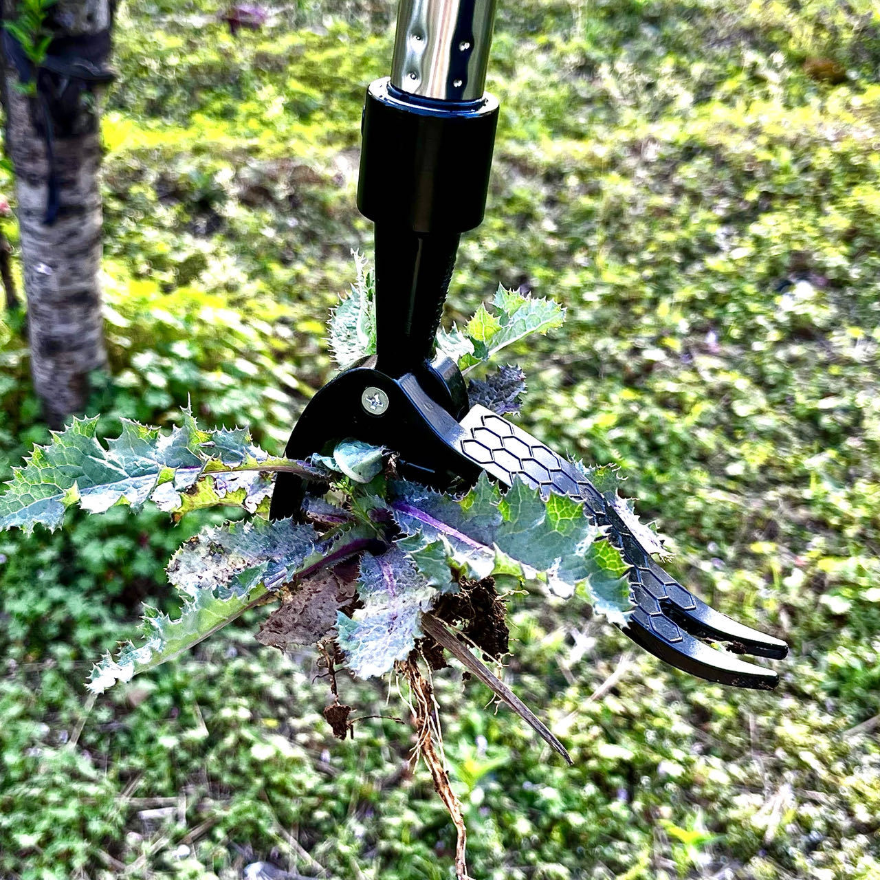ประหยัดแรงงานมือโลหะวัชพืช EXT - Gardening Tools You Need บทวิจารณ์และราคา