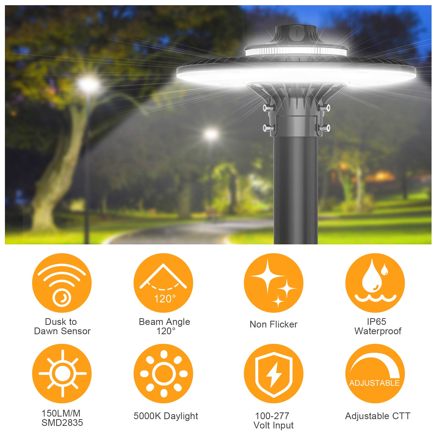 โคมไฟเสา LED สำหรับติดตั้งบนเส - Gardening Tools List บทวิจารณ์และราคา