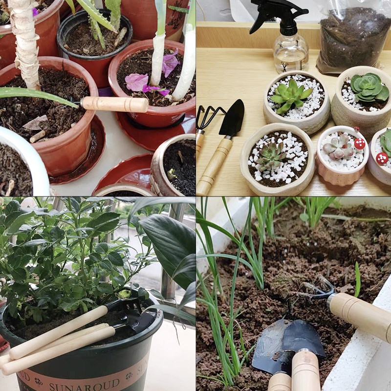 ชุดเครื่องมือทำสวนขนาดเล็ก 3 ช - Gardening Tools Spade บทวิจารณ์และราคา