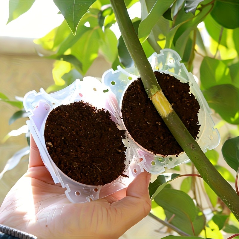 ชุดอุปกรณ์ขยายพันธุ์พืชแบบแรงด - Gardening Tools Kit บทวิจารณ์และราคา