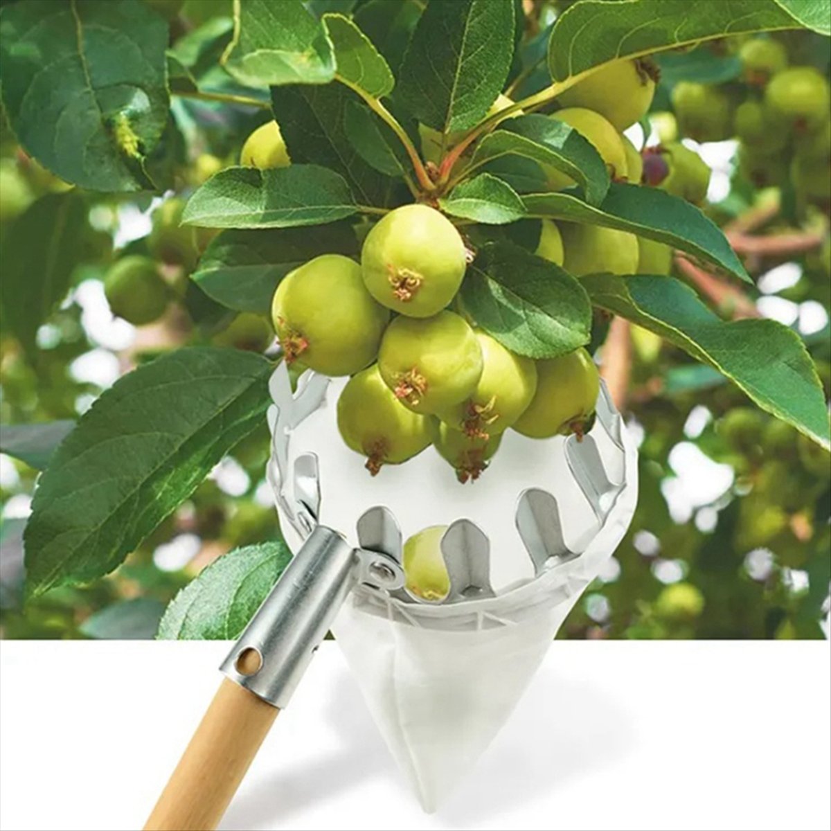 【ลดราคาพิเศษ】เครื่องเก็บผลไม้โ - Gardening Tools For Sale บทวิจารณ์และราคา